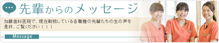 先輩からのメッセージ